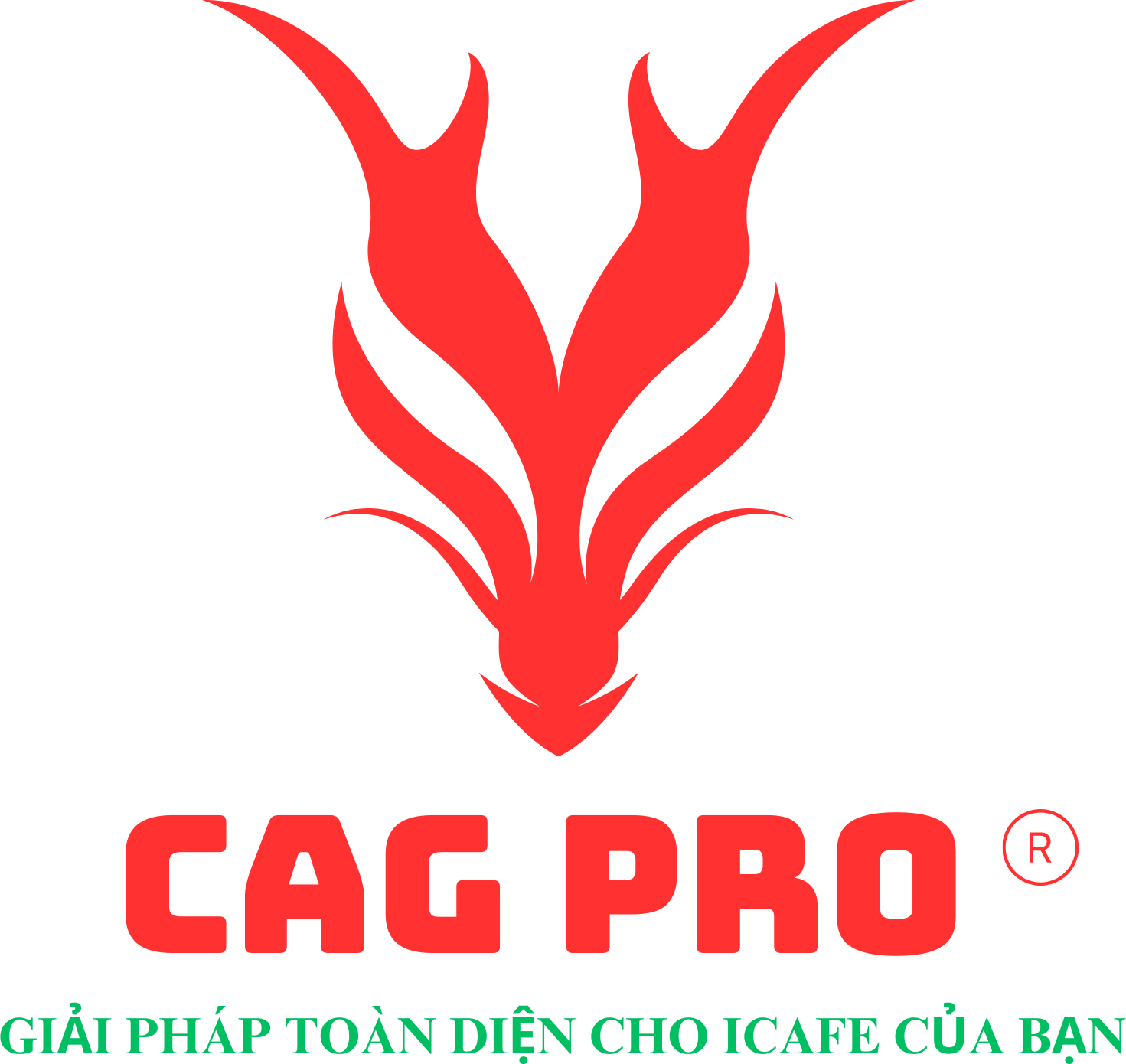 Logo CAG PRO®